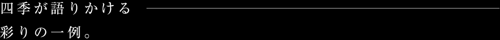 四季が語りかける彩の一例。